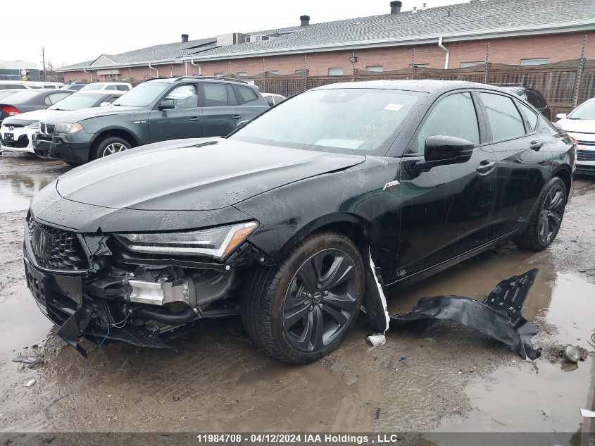 2022 Acura Tlx VIN: 19UUB6F55NA801043 Lot: 50304714