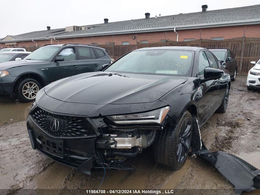 2022 Acura Tlx VIN: 19UUB6F55NA801043 Lot: 11984708
