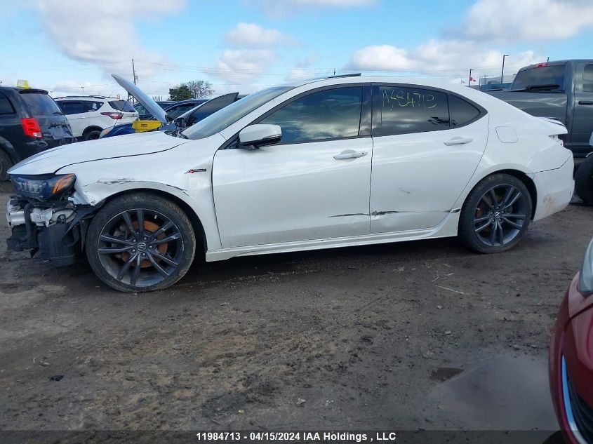 2018 Acura Tlx Tech+A/Tch+Ar VIN: 19UUB3F66JA802963 Lot: 11984713