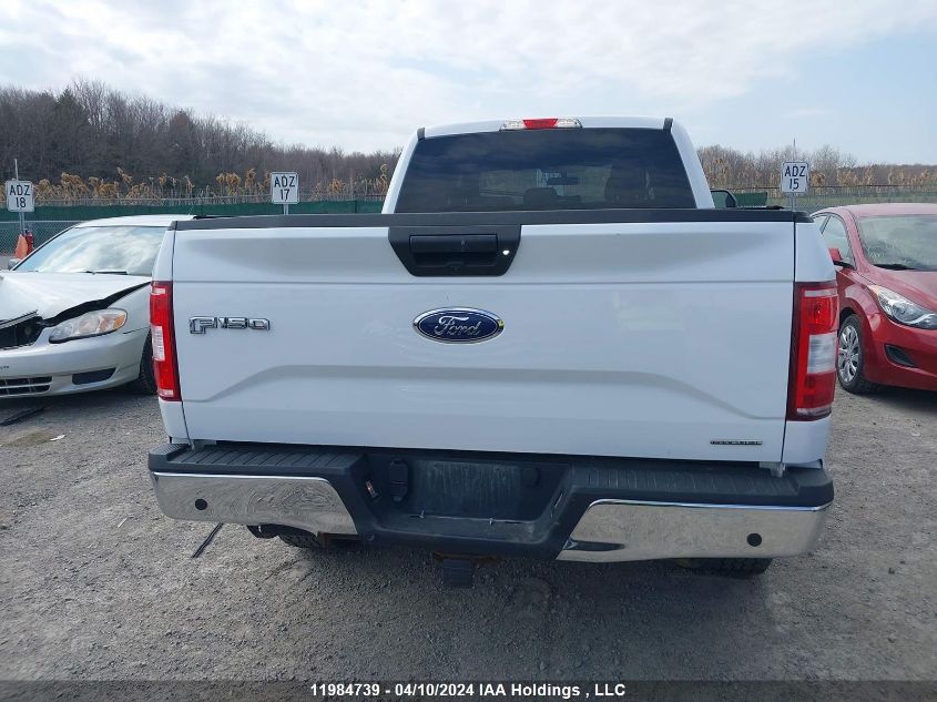 2019 Ford F-150 VIN: 1FTFW1E46KKD78017 Lot: 11984739