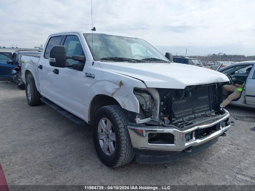 2019 Ford F-150 VIN: 1FTFW1E46KKD78017 Lot: 11984739