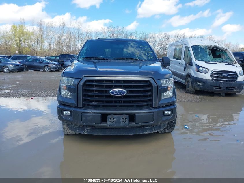 2016 Ford F-150 Xlt VIN: 1FTEW1EF0GFC49008 Lot: 11984839