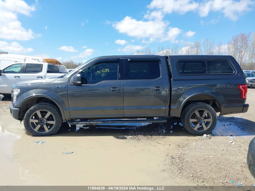 2016 Ford F-150 Xlt VIN: 1FTEW1EF0GFC49008 Lot: 11984839