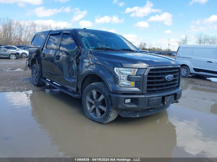 2016 Ford F-150 Xlt VIN: 1FTEW1EF0GFC49008 Lot: 11984839