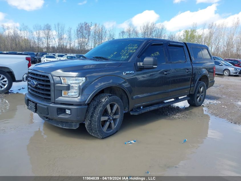 2016 Ford F-150 Xlt VIN: 1FTEW1EF0GFC49008 Lot: 11984839