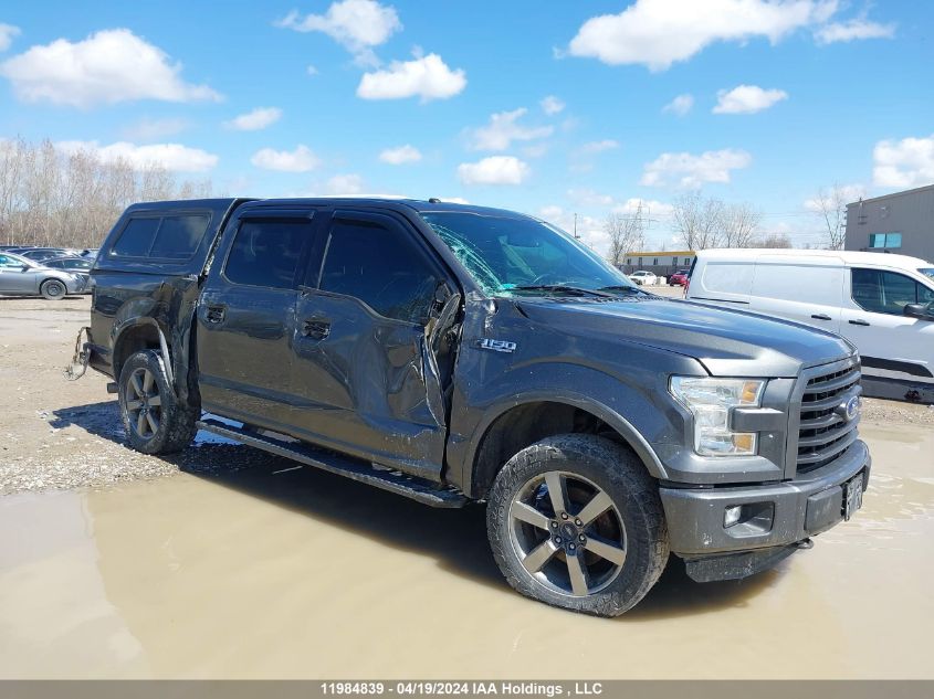 2016 Ford F-150 Xlt VIN: 1FTEW1EF0GFC49008 Lot: 11984839