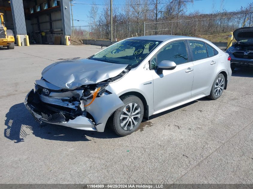 2020 Toyota Corolla Le VIN: JTDBBRBE8LJ025078 Lot: 11984989