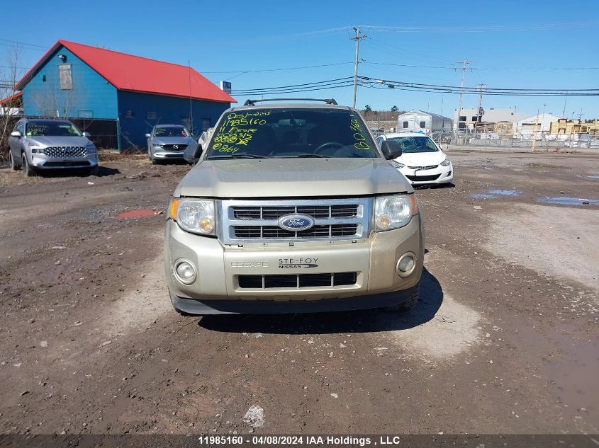 2011 Ford Escape Xlt VIN: 1FMCU0D74BKC45315 Lot: 50409934