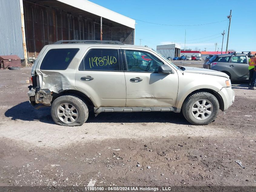 2011 Ford Escape Xlt VIN: 1FMCU0D74BKC45315 Lot: 50409934