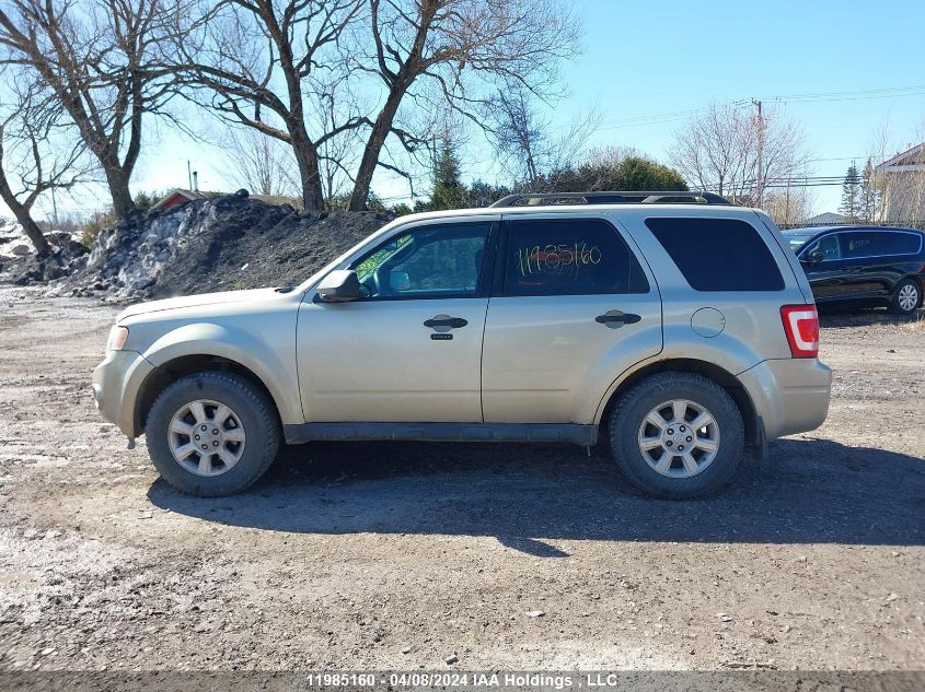 2011 Ford Escape Xlt VIN: 1FMCU0D74BKC45315 Lot: 50409934