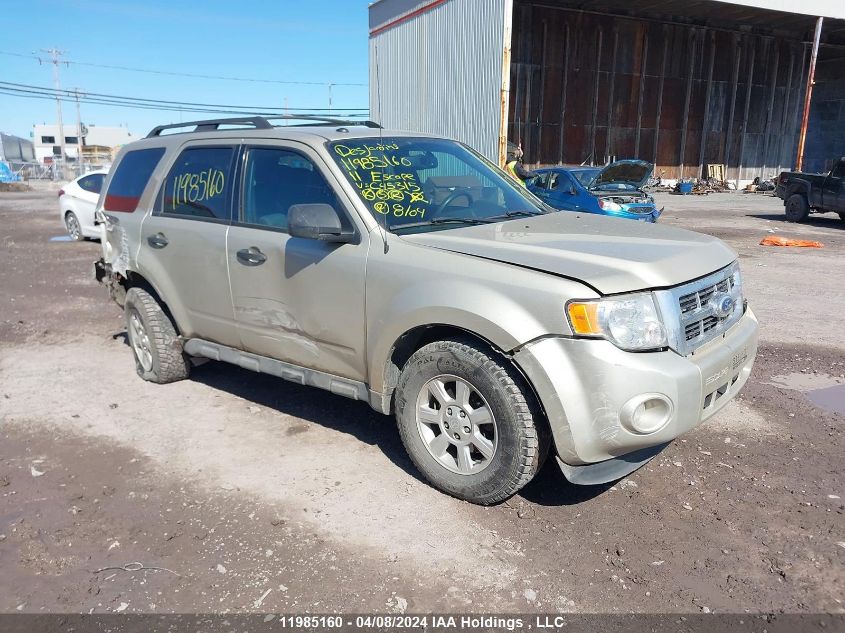 2011 Ford Escape Xlt VIN: 1FMCU0D74BKC45315 Lot: 50409934