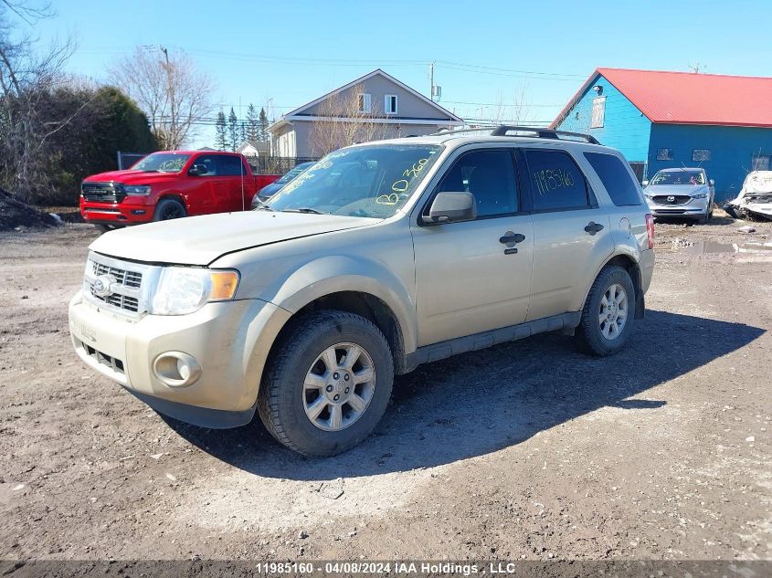 2011 Ford Escape Xlt VIN: 1FMCU0D74BKC45315 Lot: 50409934