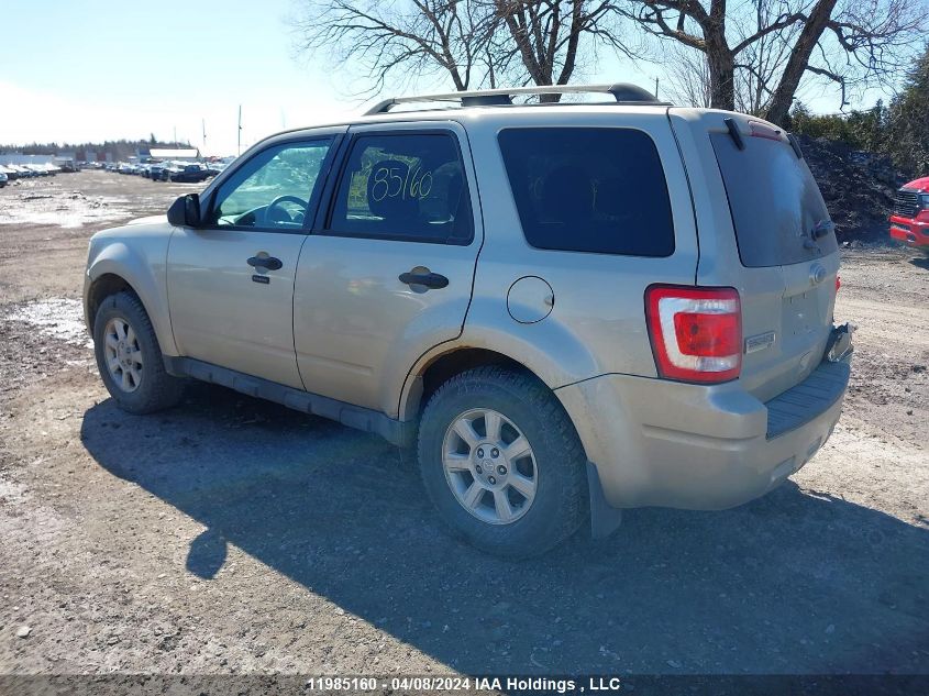 2011 Ford Escape Xlt VIN: 1FMCU0D74BKC45315 Lot: 50409934