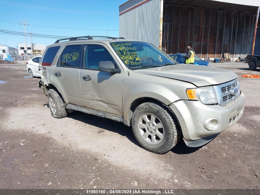 2011 Ford Escape Xlt VIN: 1FMCU0D74BKC45315 Lot: 50409934