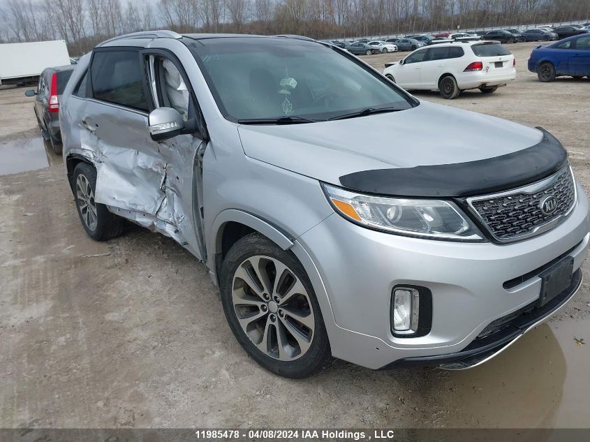 2014 Kia Sorento VIN: 5XYKWDA74EG466039 Lot: 11985478