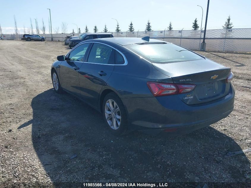 2019 Chevrolet Malibu VIN: 1G1ZD5ST6KF187172 Lot: 11985566