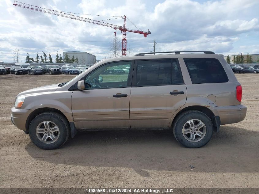 2003 Honda Pilot VIN: 2HKYF18543H005698 Lot: 39241482