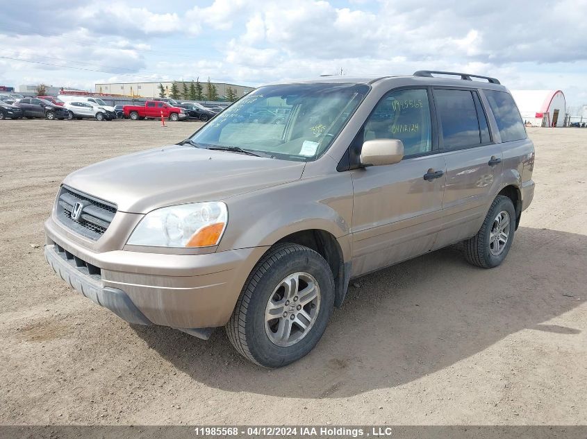 2003 Honda Pilot VIN: 2HKYF18543H005698 Lot: 39241482