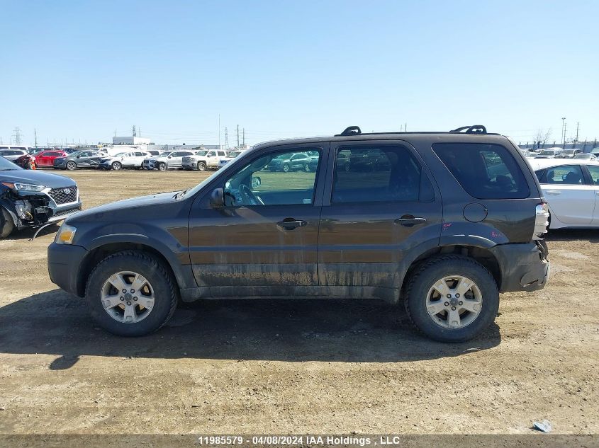 2007 Ford Escape Xlt VIN: 1FMCU93147KB56966 Lot: 11985579