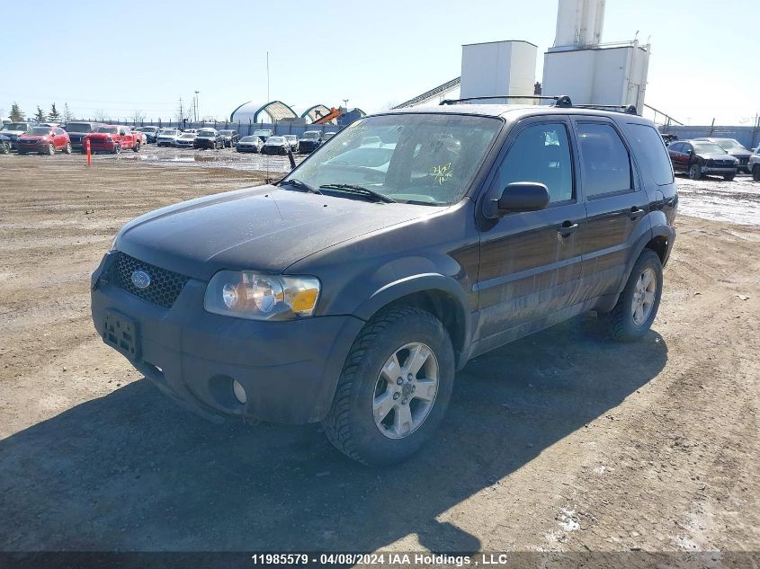 2007 Ford Escape Xlt VIN: 1FMCU93147KB56966 Lot: 11985579