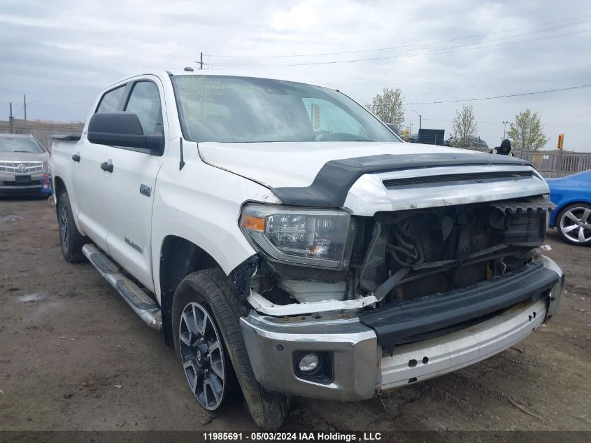 2018 Toyota Tundra Sr5 Plus 5.7L V8 VIN: 5TFDY5F12JX743176 Lot: 11985691