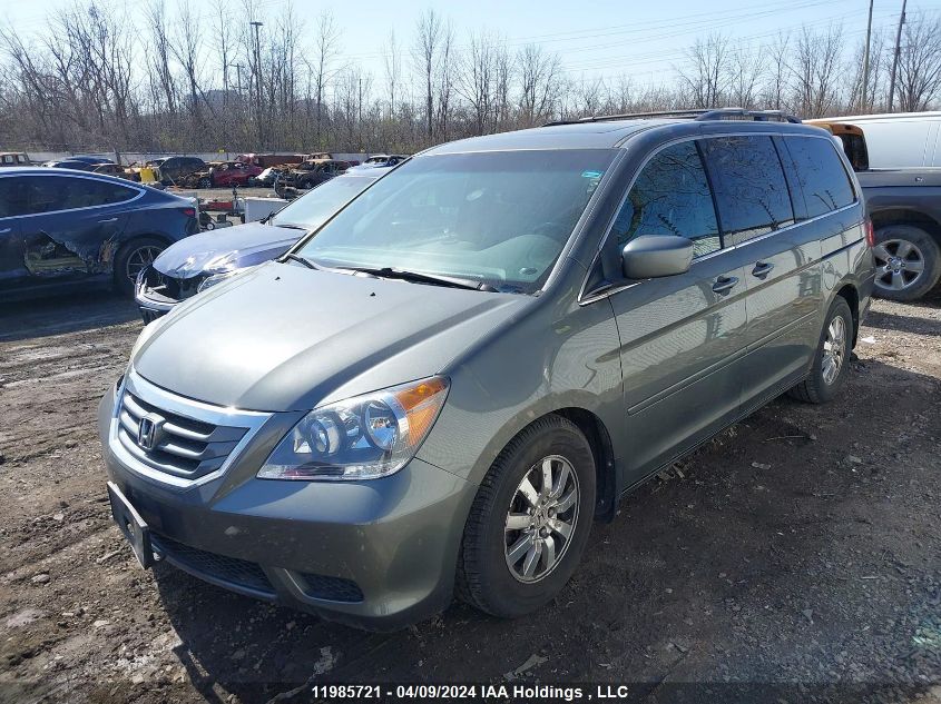 2008 Honda Odyssey Exl VIN: 5FNRL38798B508238 Lot: 11985721