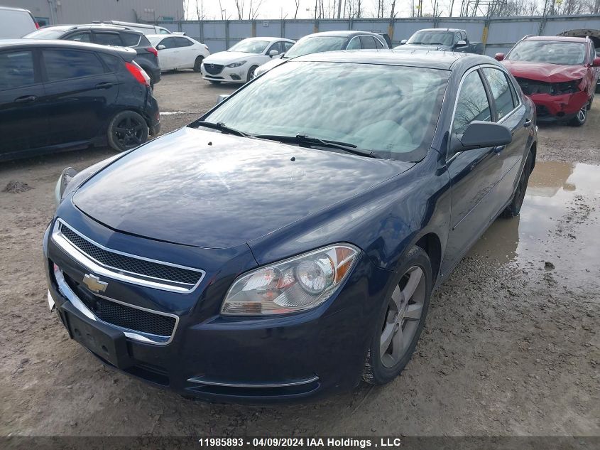 2010 Chevrolet Malibu VIN: 1G1ZB5E00AF120167 Lot: 11985893