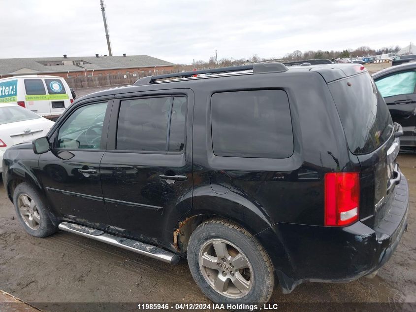 2011 Honda Pilot Ex-L VIN: 5FNYF4H7XBB032825 Lot: 11985946