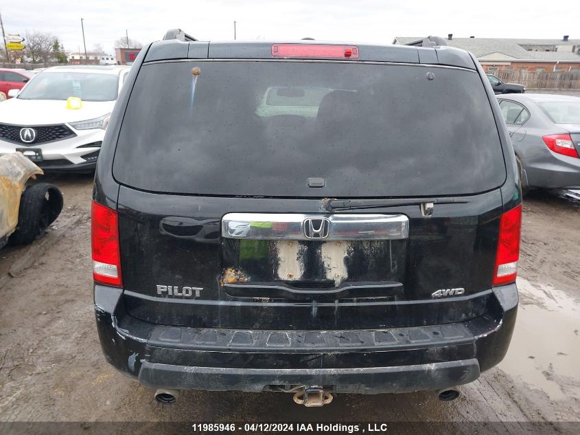 2011 Honda Pilot Ex-L VIN: 5FNYF4H7XBB032825 Lot: 11985946