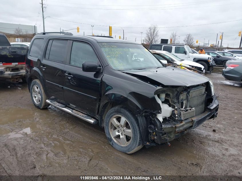 2011 Honda Pilot Ex-L VIN: 5FNYF4H7XBB032825 Lot: 11985946