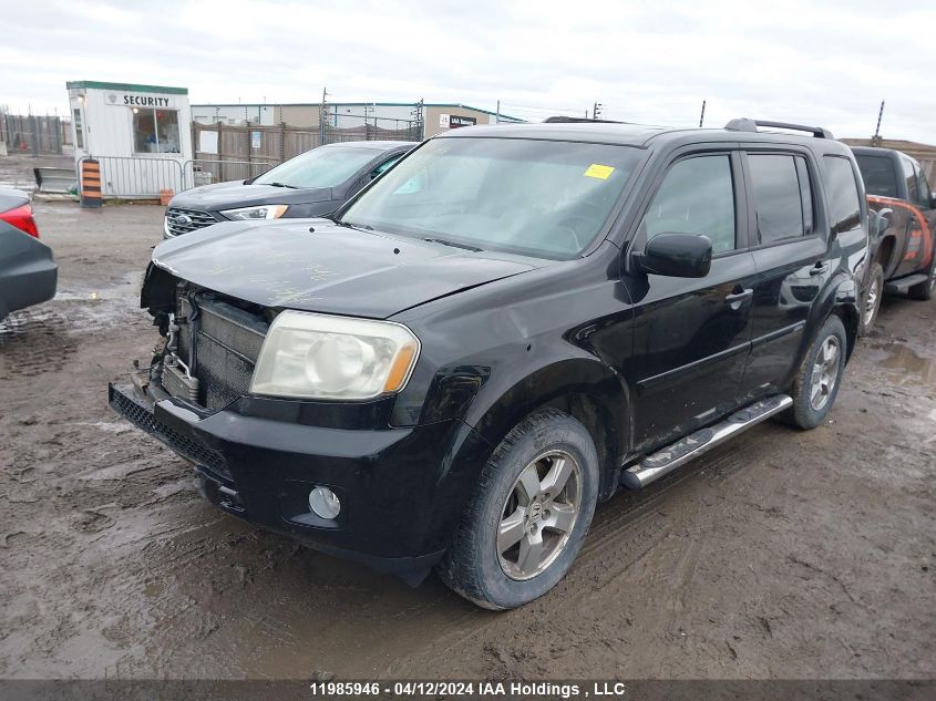 2011 Honda Pilot Ex-L VIN: 5FNYF4H7XBB032825 Lot: 11985946