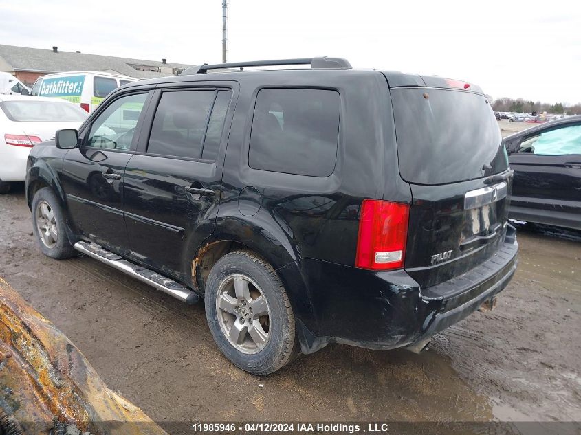 2011 Honda Pilot Ex-L VIN: 5FNYF4H7XBB032825 Lot: 11985946