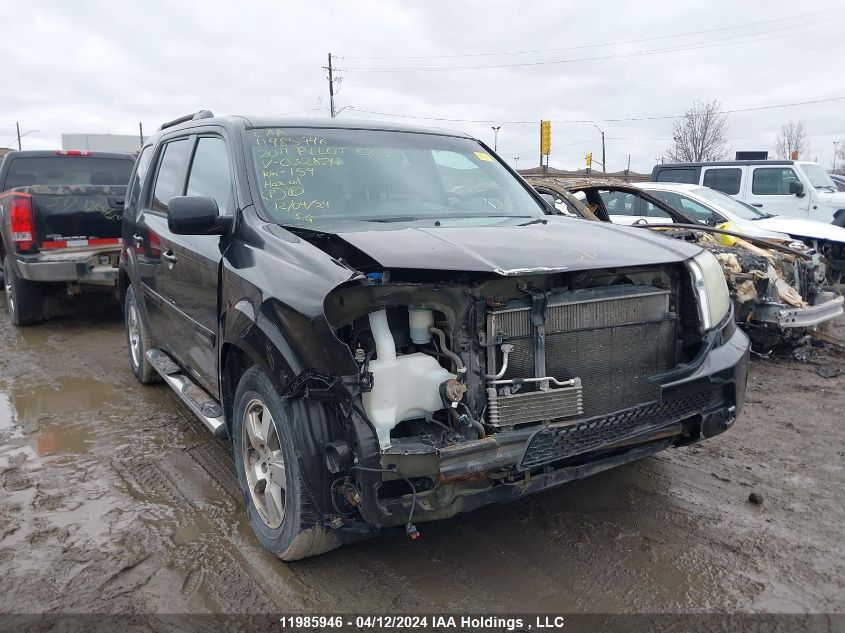 2011 Honda Pilot Ex-L VIN: 5FNYF4H7XBB032825 Lot: 11985946