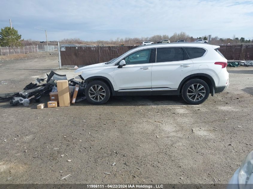 2019 Hyundai Santa Fe Sel/Sel Plus VIN: 5NMS3CAA7KH040815 Lot: 39240951