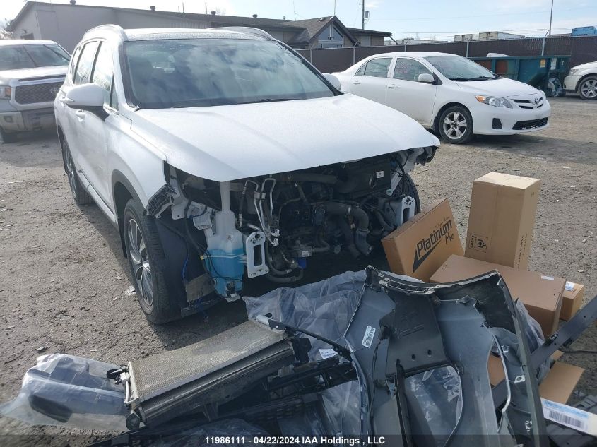 2019 Hyundai Santa Fe Sel/Sel Plus VIN: 5NMS3CAA7KH040815 Lot: 39240951