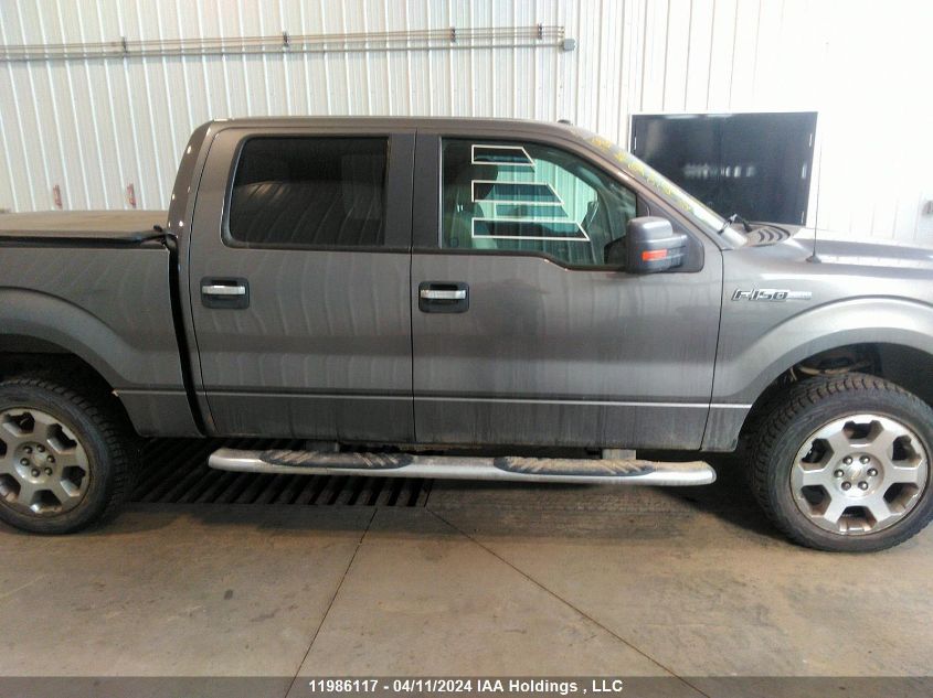 2009 Ford F150 Supercrew VIN: 1FTPW14V29FB12544 Lot: 11986117