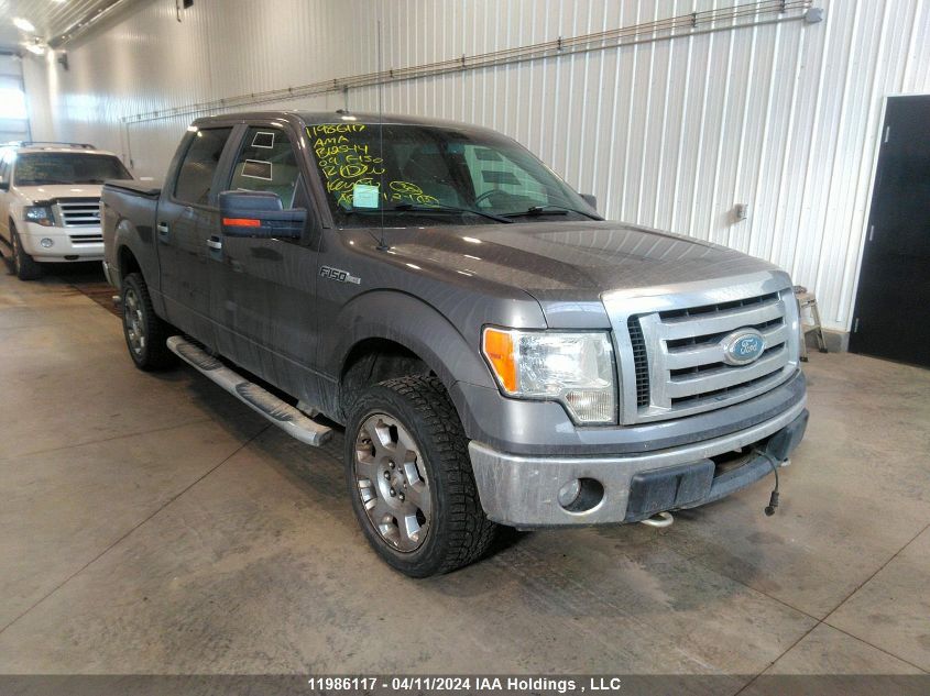 2009 Ford F150 Supercrew VIN: 1FTPW14V29FB12544 Lot: 11986117