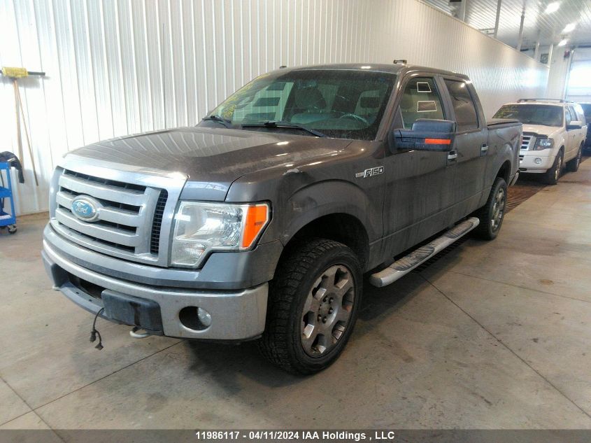 2009 Ford F150 Supercrew VIN: 1FTPW14V29FB12544 Lot: 11986117