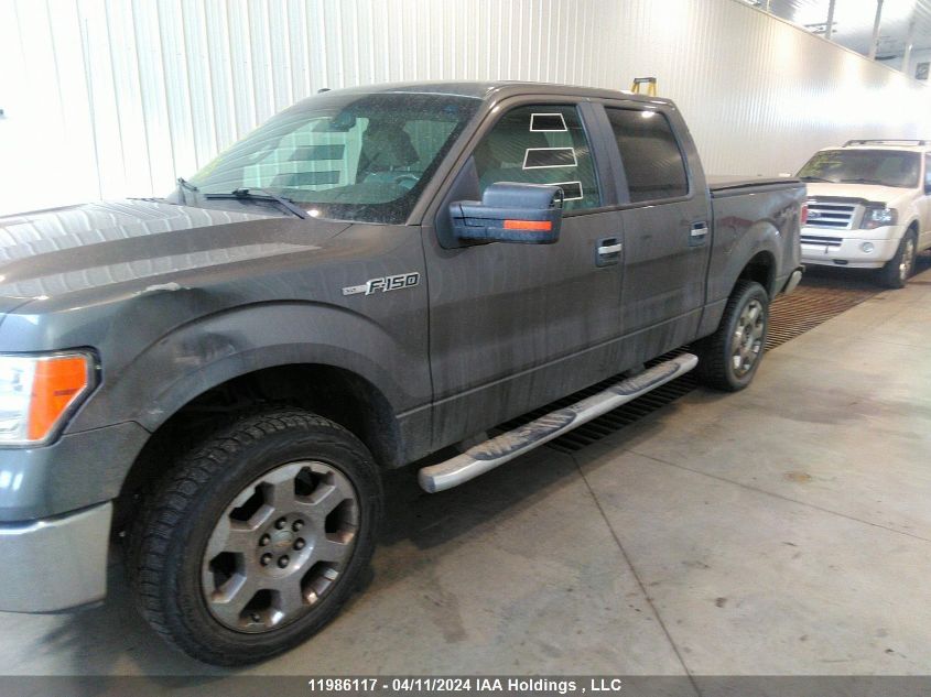 2009 Ford F150 Supercrew VIN: 1FTPW14V29FB12544 Lot: 11986117