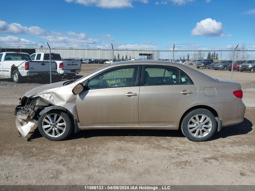 2010 Toyota Corolla S/Le/Xle VIN: 2T1BU4EE1AC482705 Lot: 49695684