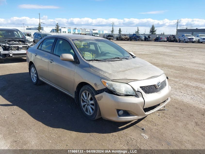 2010 Toyota Corolla S/Le/Xle VIN: 2T1BU4EE1AC482705 Lot: 49695684