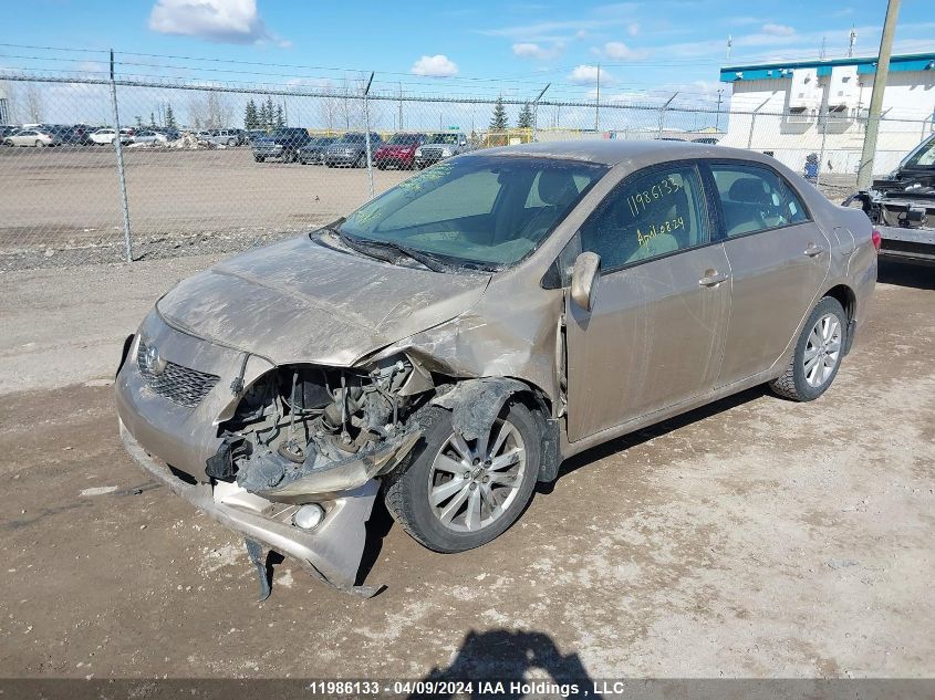 2010 Toyota Corolla S/Le/Xle VIN: 2T1BU4EE1AC482705 Lot: 49695684