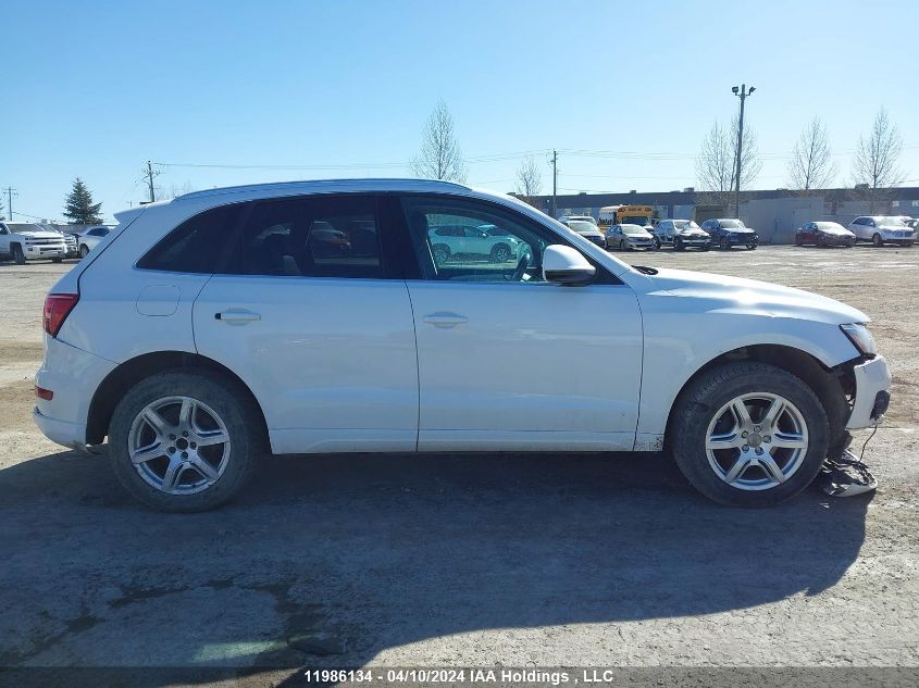 2011 Audi Q5 VIN: WA1LFCFP3BA068981 Lot: 11986134