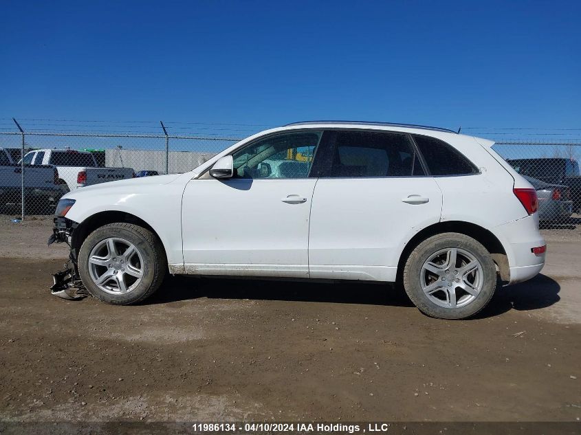 2011 Audi Q5 VIN: WA1LFCFP3BA068981 Lot: 11986134