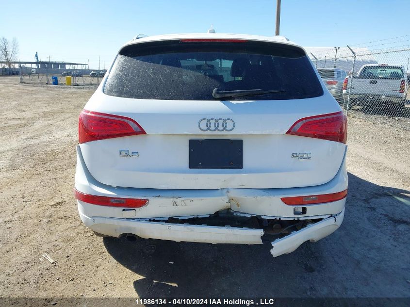 2011 Audi Q5 VIN: WA1LFCFP3BA068981 Lot: 11986134