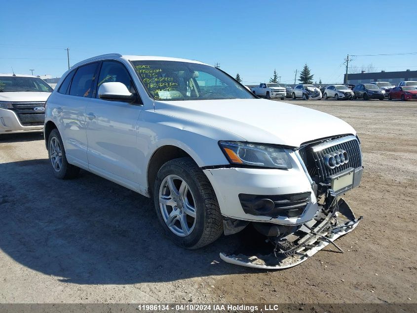 2011 Audi Q5 VIN: WA1LFCFP3BA068981 Lot: 11986134