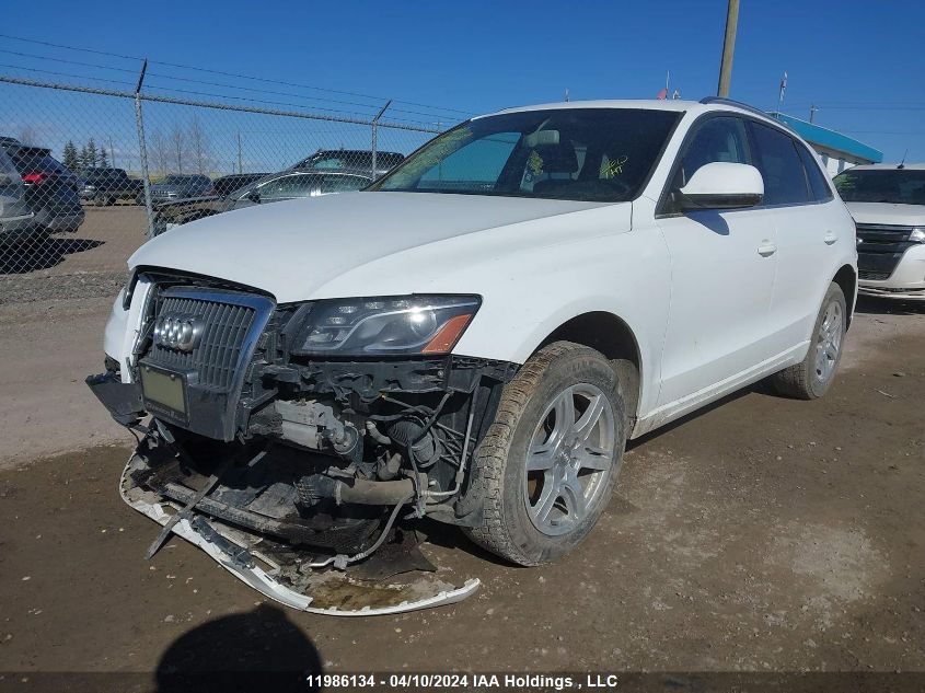 2011 Audi Q5 VIN: WA1LFCFP3BA068981 Lot: 11986134