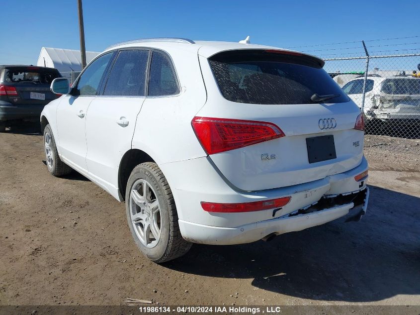 2011 Audi Q5 VIN: WA1LFCFP3BA068981 Lot: 11986134