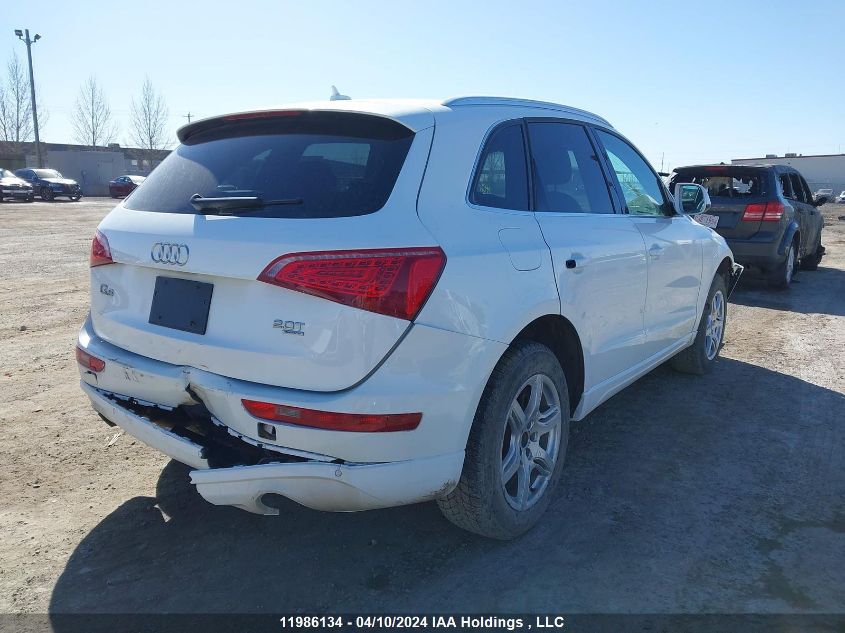 2011 Audi Q5 VIN: WA1LFCFP3BA068981 Lot: 11986134