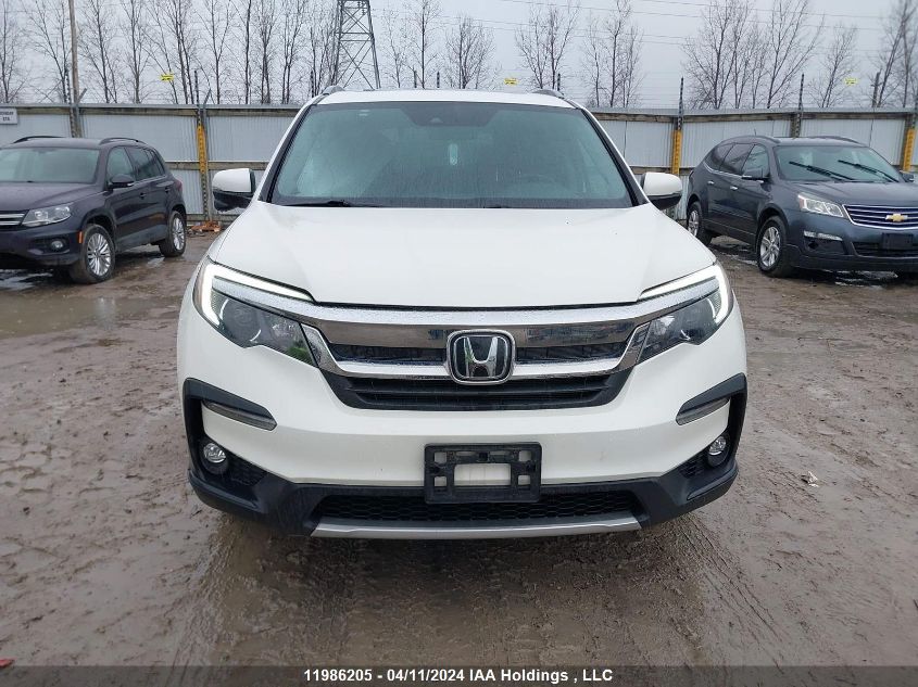 2019 Honda Pilot VIN: 5FNYF6H78KB506668 Lot: 11986205